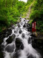 逃出田园庭院